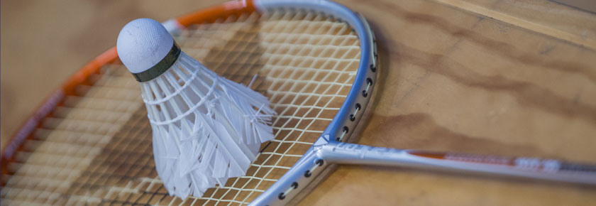 sports games badminton