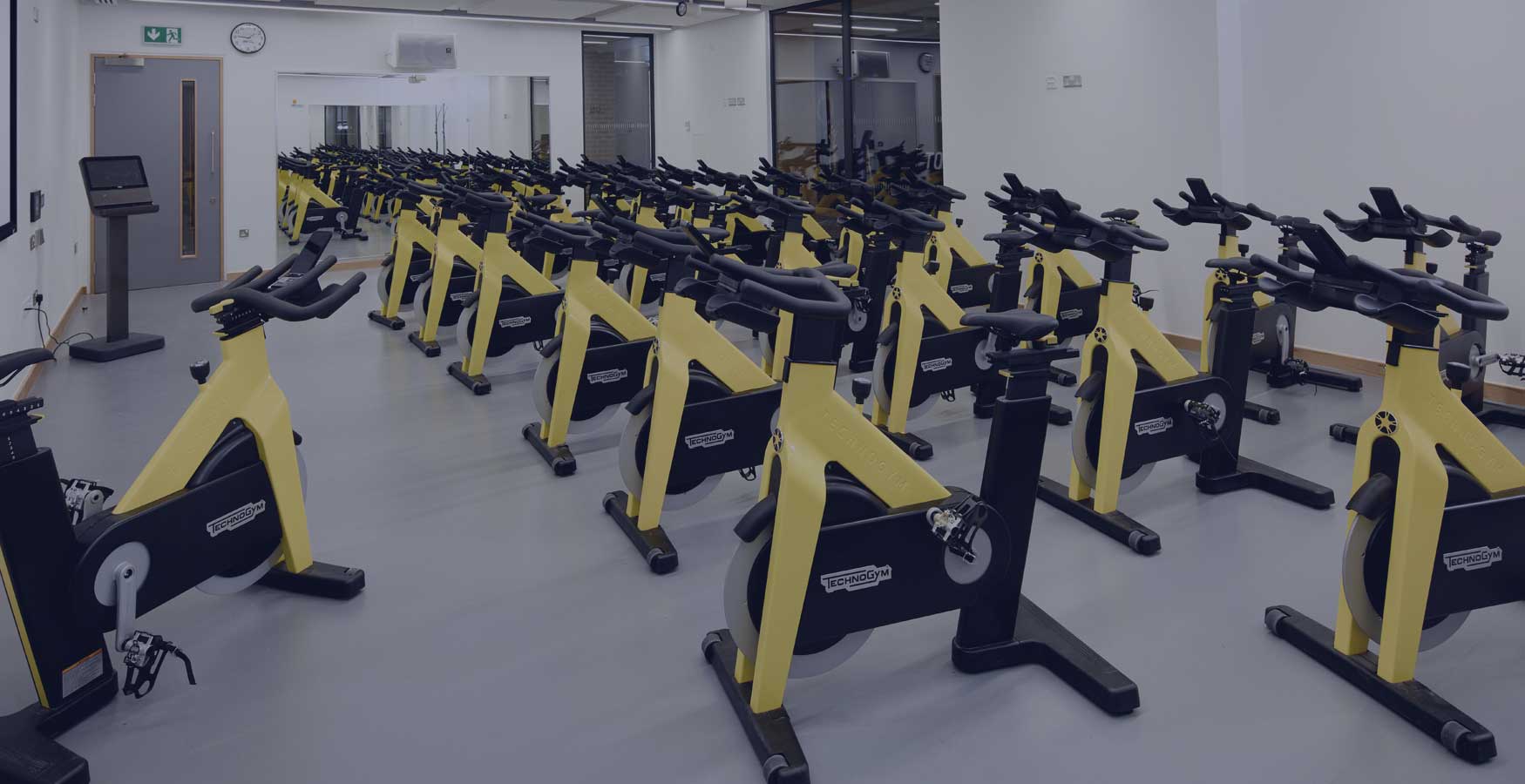 cycle studio with 20 yellow technogym spin bikes