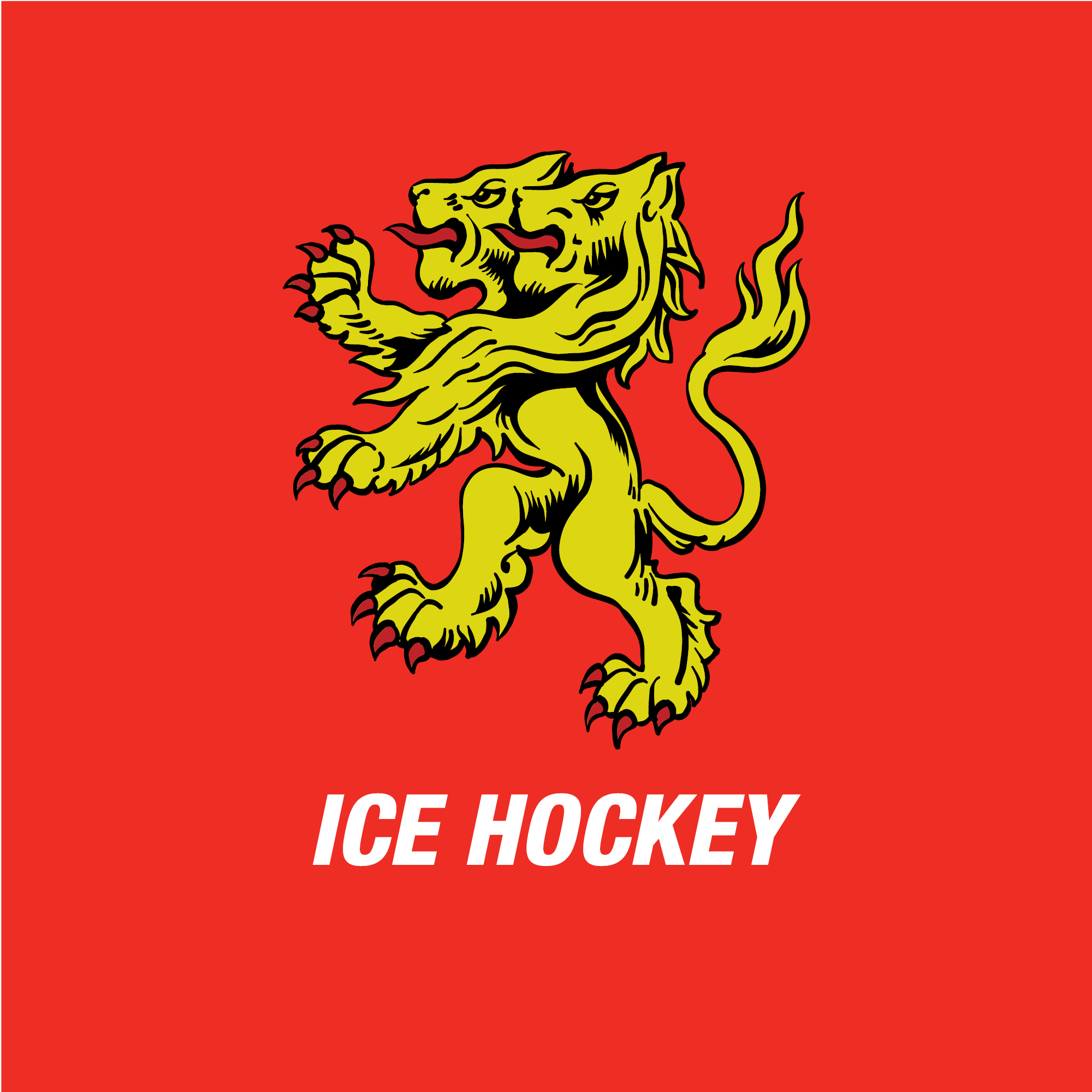 Ice Hockey - University of Birmingham Sport & Fitness